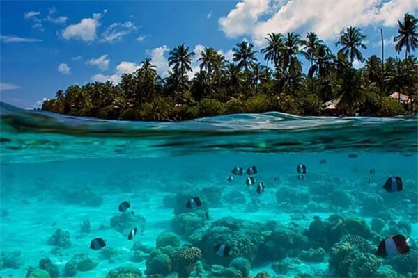 印尼十大岛屿排名 巴厘岛无疑居榜首，其它的也都是美Cry插图6