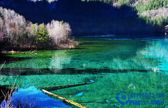 中国十大森林氧吧大盘点插图2