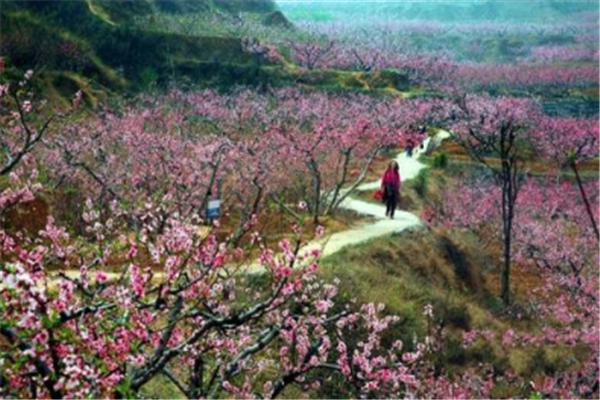 舟山必去的十大景点：东沙古镇上榜，普陀山第一插图3