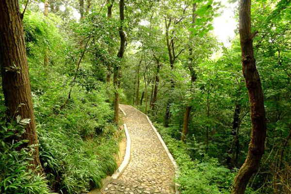 上海十大爬山好去处：佘山只排第四，第一名为九峰之首插图3