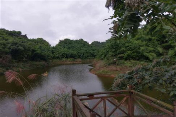 乐山最好玩的地方推荐 乐山好玩的地方排行榜插图8