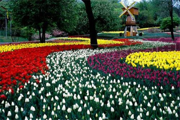 沈阳十大人少好玩景点 棋盘山和五龙山上榜，第九名是它插图8