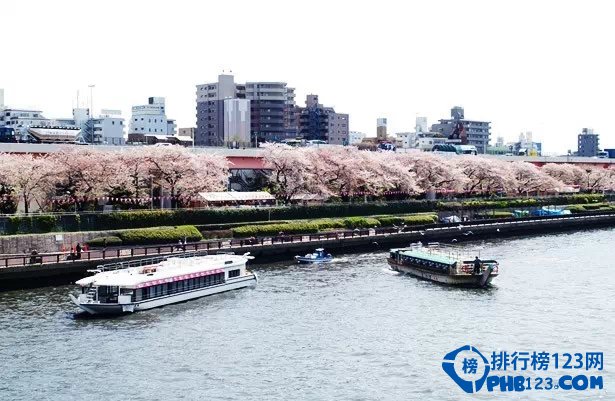 2016日本全国赏樱名所TOP10插图5