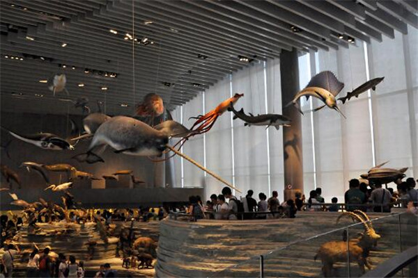 上海有趣的博物馆 最有钱的银行博物馆你去过没插图7