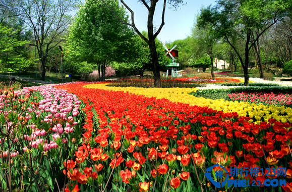 辽宁有哪些5a景区 辽宁5a旅游景点大全插图