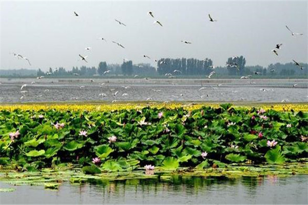 沈阳十大人少好玩景点 棋盘山和五龙山上榜，第九名是它插图9