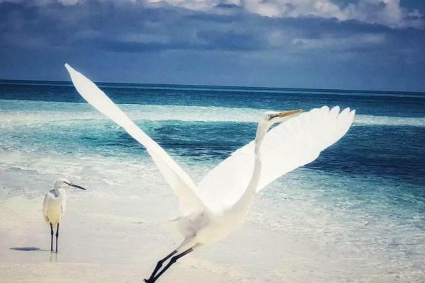 国内冷门却超美的海岛 这些冷门超美的海岛千万不能错过插图6