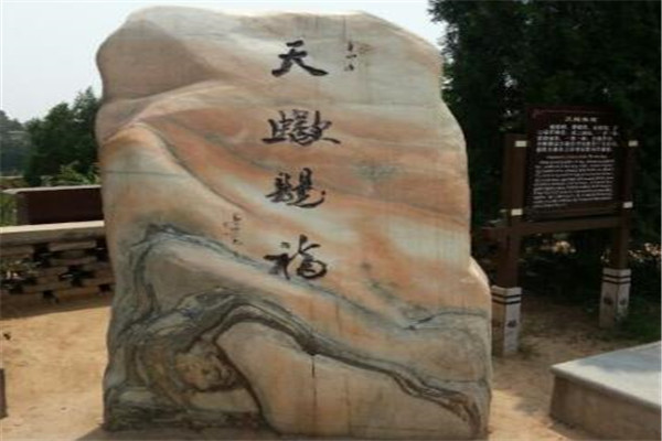 渭南最好玩的地方推荐 渭南好玩的地方排行榜插图8