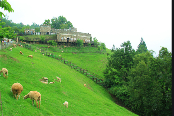 台湾十大旅游景点：阿里山风景区上榜，它写入小学课本插图9