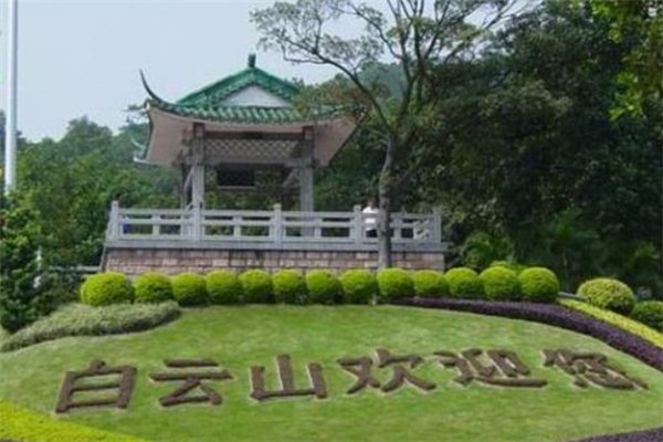 广州十大热门景点排行榜：永庆坊上榜，第一是地标性建筑插图5