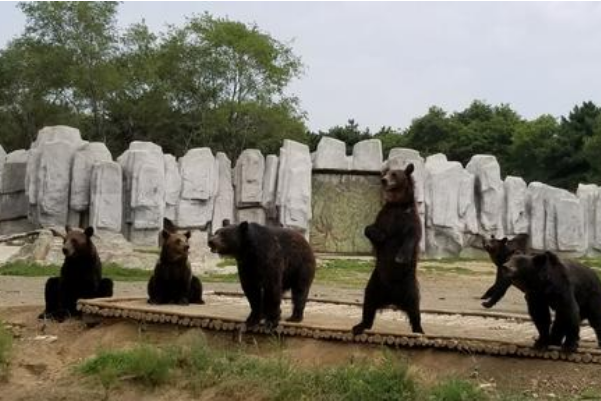 沈阳十大受欢迎的景点：沈阳故宫上榜，它因怪而闻名插图8