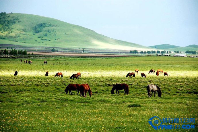 国内十大梦幻草原排行榜插图3