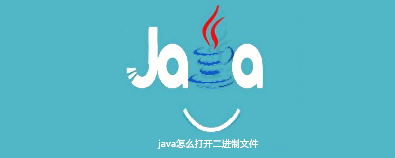 java怎么打开二进制文件插图