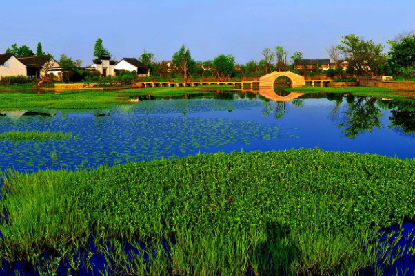 杭州十大网红景点：河坊街上榜，它有两个身份插图5