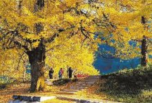 永州十大旅游景点:桐子坳景区上榜 千家峒大泊水瀑布风景如画|爱分享