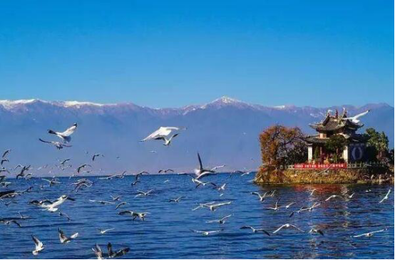 2021年春节十大旅游目的地 六朝古都西安第二,第一环境一绝插图2