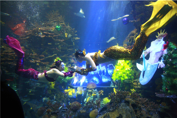 魔都6个人少景美的景点 枫泾古镇与淀山湖风景区均上榜插图