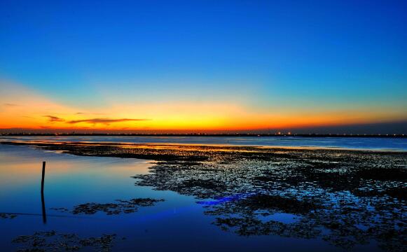 苏州必去景点排名 沧浪亭/狮子林/拙政园/留园四大园林上榜插图5