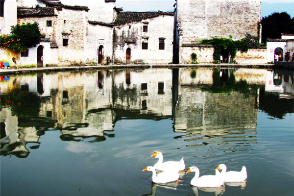 适合一个人散心的地方：凤凰古城上榜，它是油菜花之乡插图6