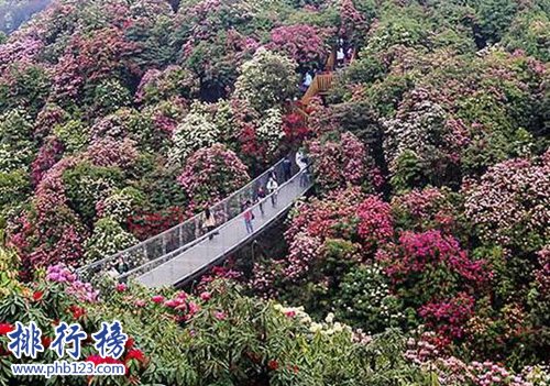 贵州必去的十大旅游景点:黄果树仅第二第一美不胜收插图4