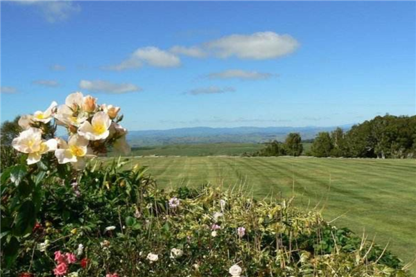 新西兰消费最便宜的5个小镇 怀普风光优美图朗伊适合垂钓插图2