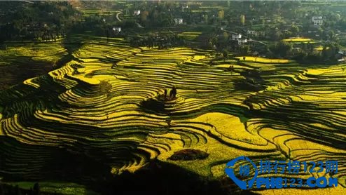贵州梯田哪里最美 盘点贵州十大最美梯田插图4