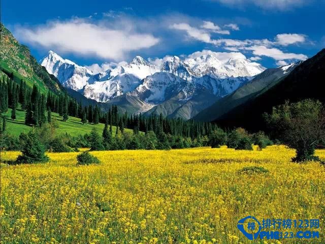 新疆最美地方排行插图8