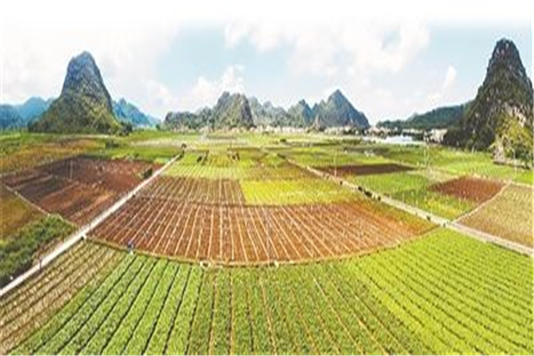 云浮十大风景名胜排名：象窝山上榜，第四红色景点插图4