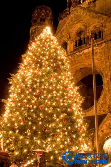 全球最美的十四大圣诞树排行榜插图9