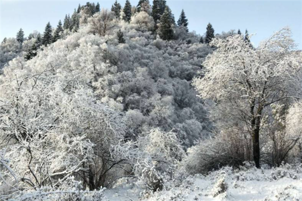 兰州十大最好玩的景点：兴隆山上榜，第三有遍地梨花插图