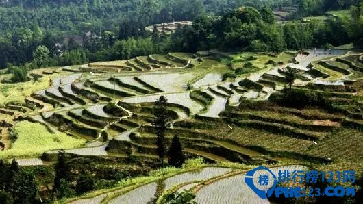 四川境内梯田TOP10 去四川看梯田插图5