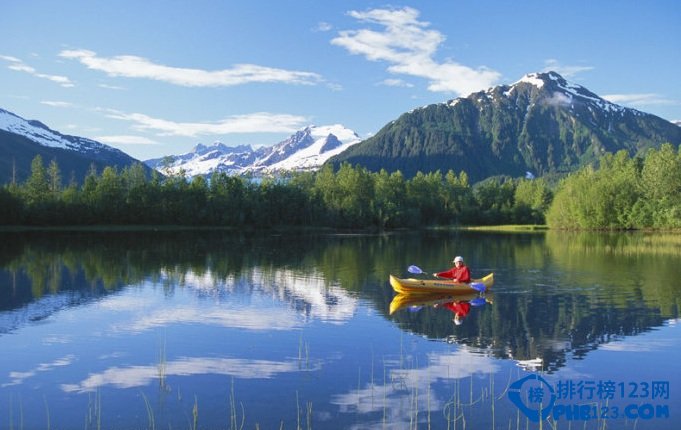 全球十大静美森林排行榜插图5