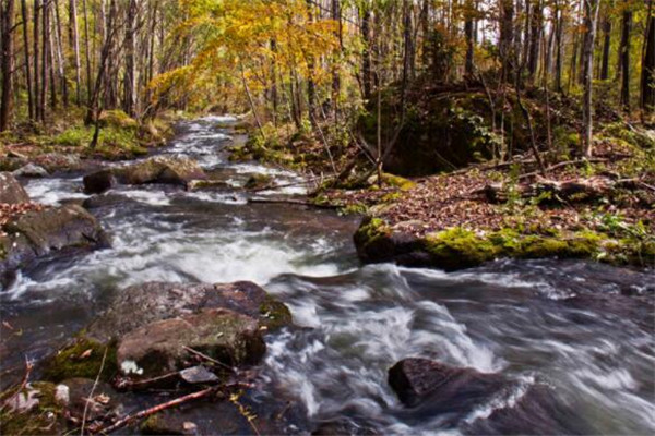 牡丹江有什么好玩的地方？盘点牡丹江好玩的地方排行榜插图9