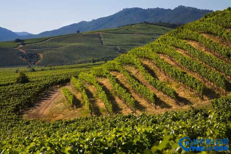 世界十大蜜月度假圣地插图4