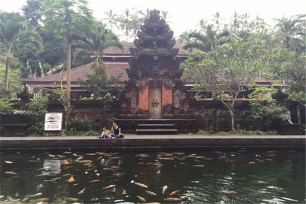 巴厘岛好玩的十大景点 库塔海滩上榜，蓝梦岛超梦幻插图4