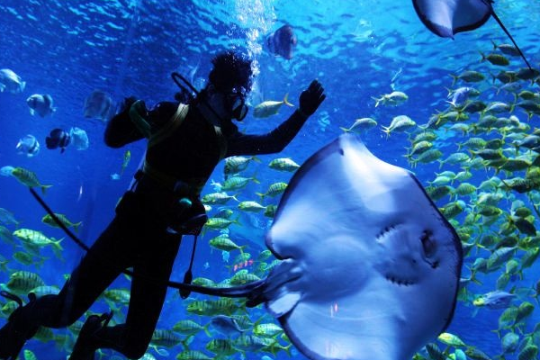 天津好玩的景点排行榜，黄崖关长城热门 欢乐谷老少皆宜插图7