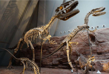 重庆十大最好玩的景点 洪崖洞建筑风格独特金刀峡具有特色|爱分享