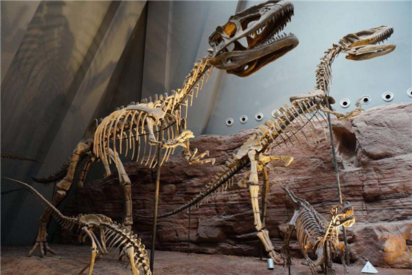 重庆十大最好玩的景点 洪崖洞建筑风格独特金刀峡具有特色插图8