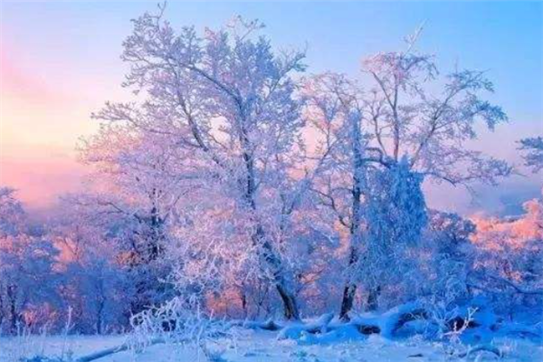 中国十大最美雾凇观赏地：衡山上榜，第六是天鹅栖息地插图