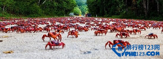 自然界最不可思议的十大奇景观排行榜插图2