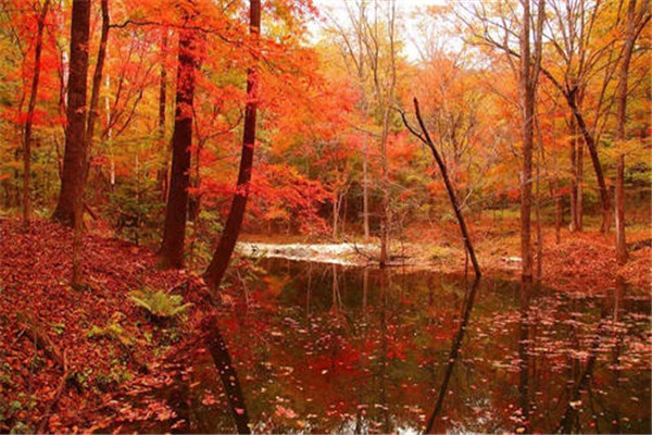 10月国内最佳旅游地点排行榜：蛟河红叶谷上榜，第2在新疆插图3