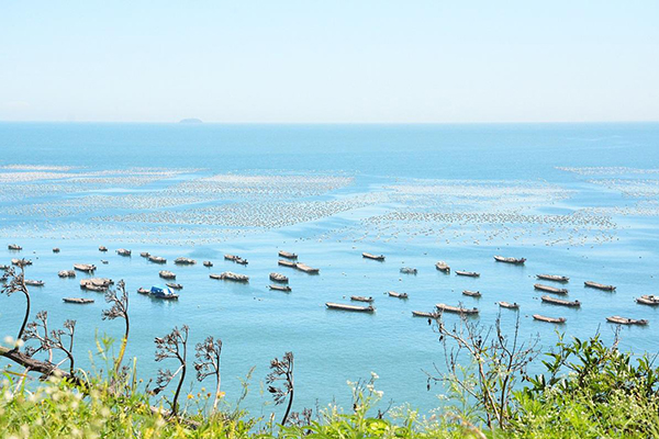 福建省内自驾游前十名:天然氧吧永泰云顶上榜 还有花海梯田插图2