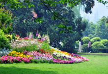 合肥十大公园排行榜：古逍遥津上榜，合肥中央公园最受欢迎|爱分享