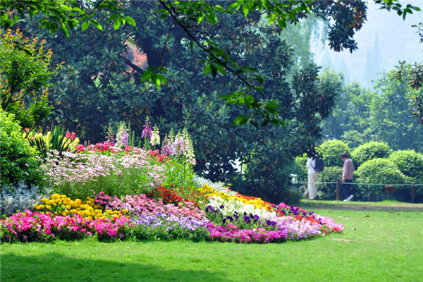 合肥十大公园排行榜：古逍遥津上榜，合肥中央公园最受欢迎插图9