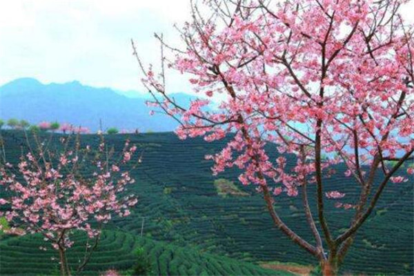 福建适合情侣玩的地方 赶紧带她一起去吧插图3