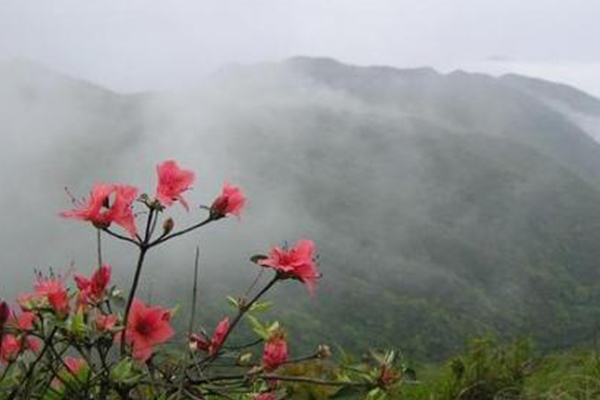 广东十大爬山好去处：险峻的广东大峡谷上榜 登山爱好者必去插图5