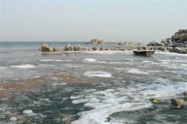 秦皇岛北戴河十大最好玩的景点：怪楼奇园上榜，第三是观鸟地插图