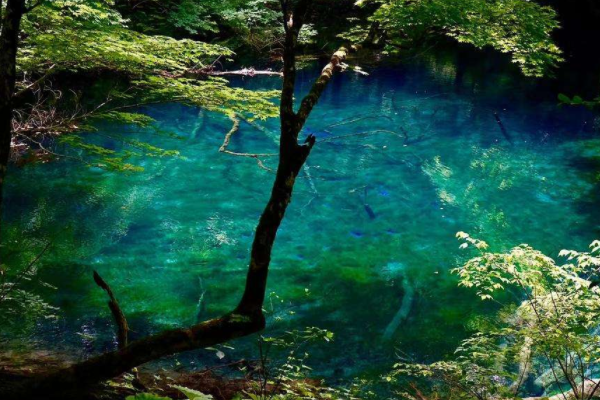 亚洲最有名的十大景点  中国的世界自然文化遗产泰山上榜插图4