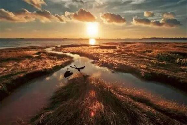 上海好玩便宜的地方 让你花最少的钱玩到尽兴插图5