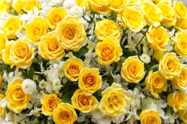 世界十大植物博物馆：纽约植物园上榜，它珍藏植物标本最多插图7